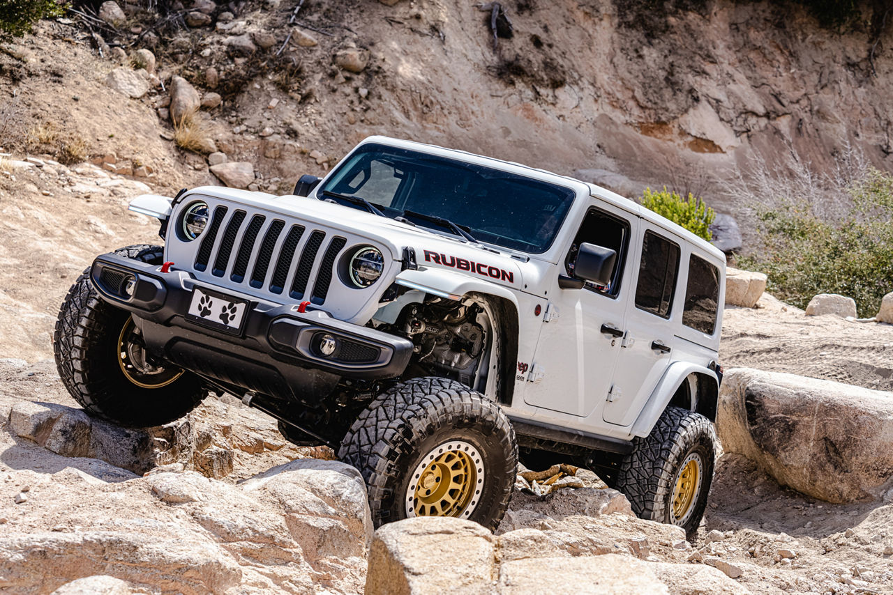 2019 Jeep Wrangler Black Rhino PRIMM Gold Black Rhino